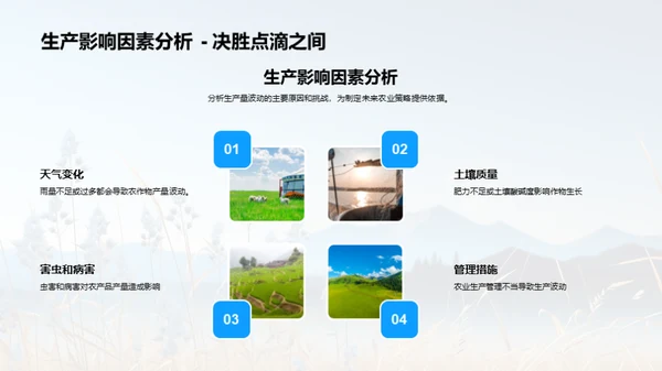 农业收益全面分析