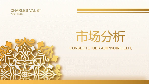高端霸气创业融资计划书商业计划书PPT模板