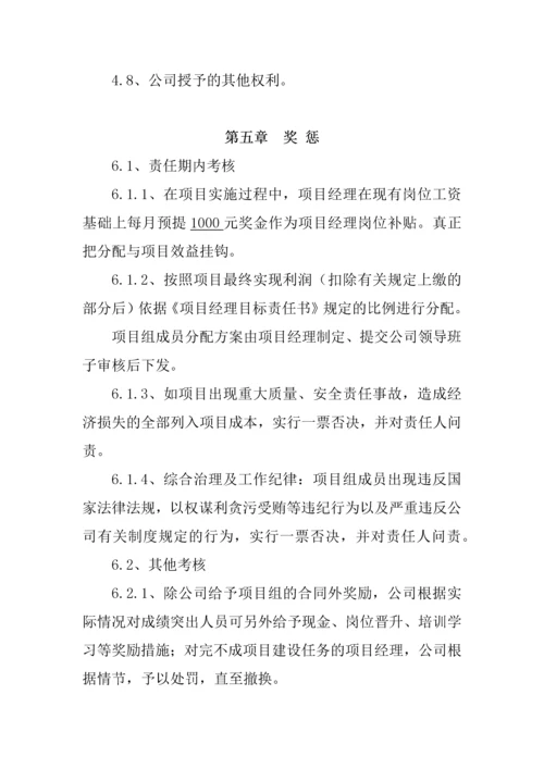 项目经理负责制管理办法.docx