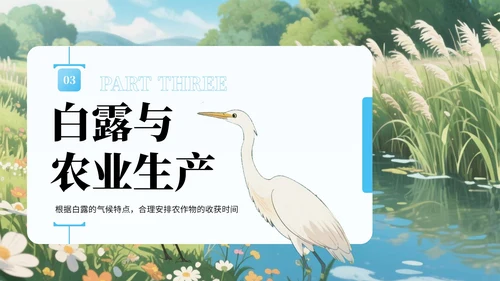 蓝绿色中国风白露节气知识宣传PPT
