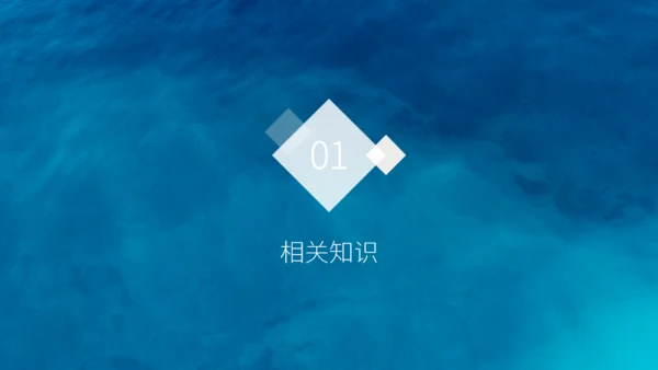 腰椎间盘突出护理查房通用PPT模板