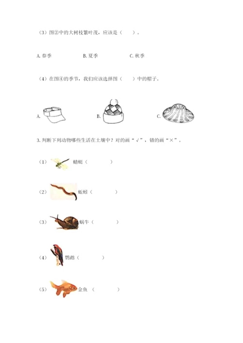 教科版科学二年级上册《期末测试卷》附参考答案ab卷.docx