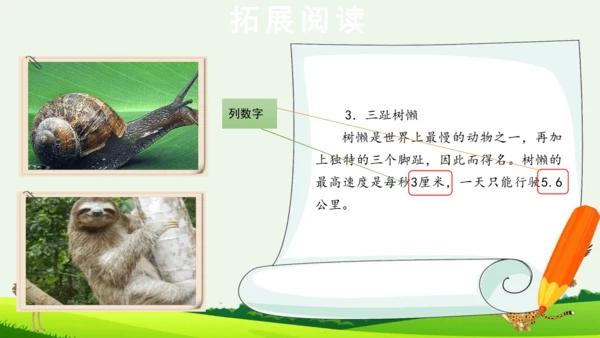 7 什么比猎豹的速度更快 第二课时 课件
