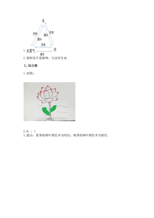 教科版科学一年级上册第一单元《植物》测试卷（培优）.docx