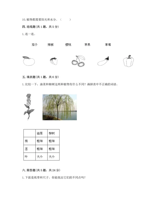 教科版一年级上册科学期末测试卷附答案（满分必刷）.docx