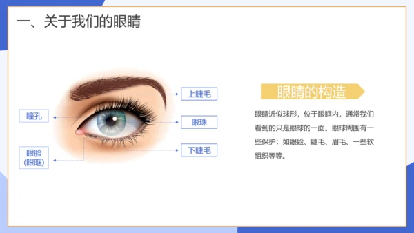 保护视力关注眼睛主题班会通用模板