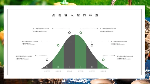 果蔬农产品工作总结农户农业通用PPT模板