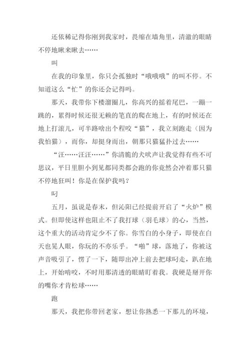 有你真好作文400字.docx