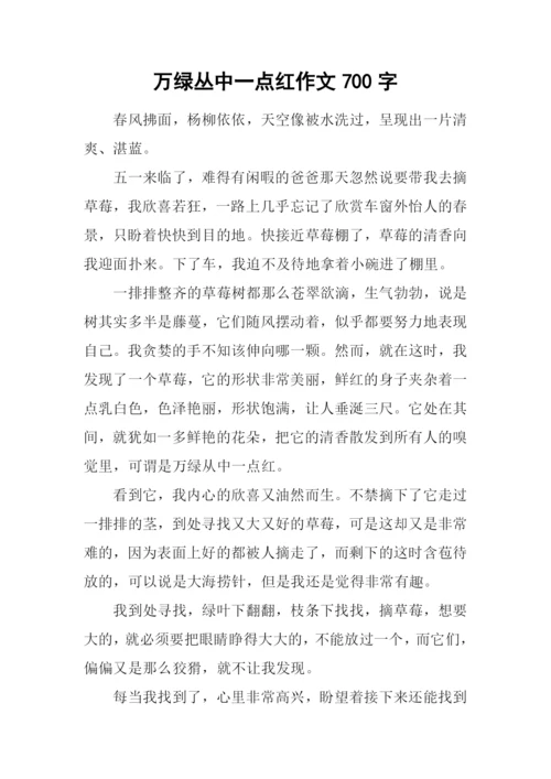 万绿丛中一点红作文700字.docx