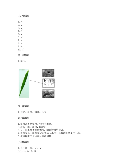 教科版小学一年级上册科学期末测试卷（完整版）.docx