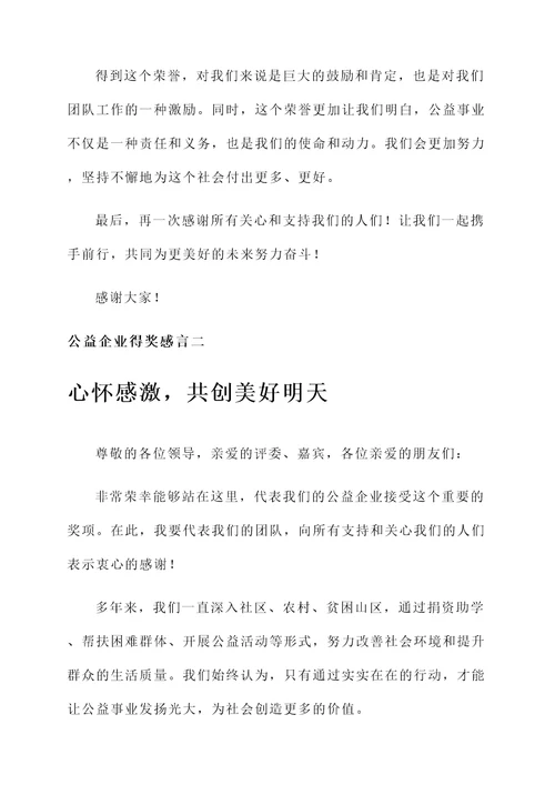 公益企业得奖感言