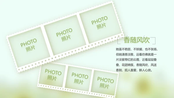 致青春毕业季大学毕业纪念册电子相册动态PPT