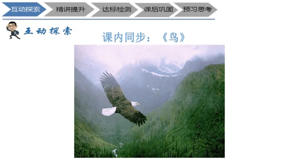 七年级上册《鸟》+“人与动物”教学设计PPT