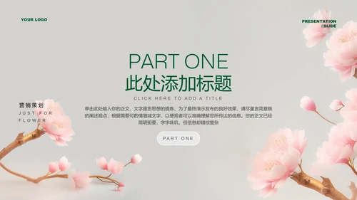 浅色小清新女性产品营销策划PPT演示文稿