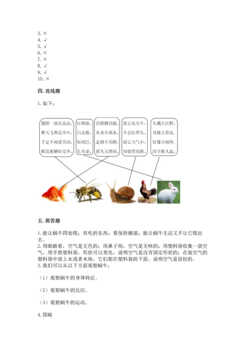 教科版一年级下册科学期末测试卷带精品答案.docx