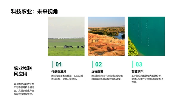 述职演说-农业科技革新