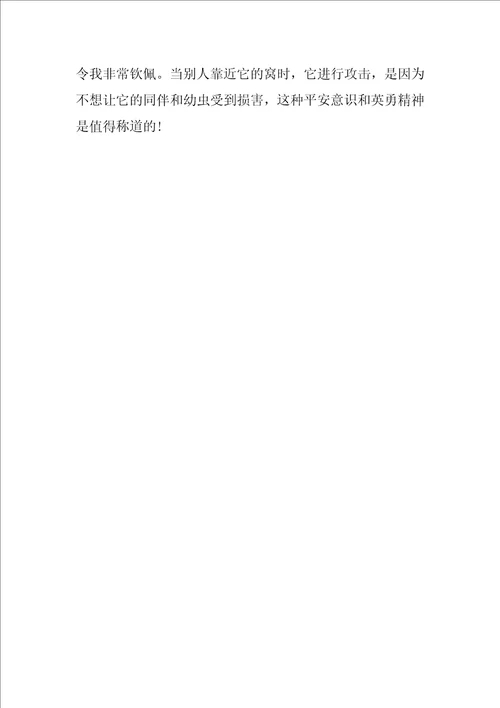 写小蜜蜂团结友爱作文