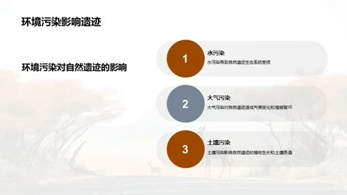 守护绿色宝藏