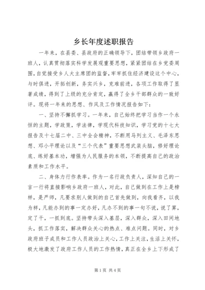 乡长年度述职报告.docx