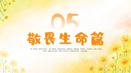 敬畏规则行有所止生命教育主题班会PPT课件