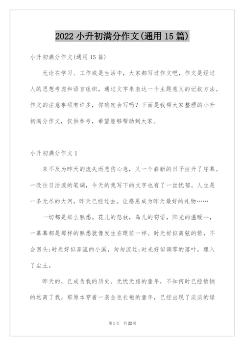 2022小升初满分作文(通用15篇).docx