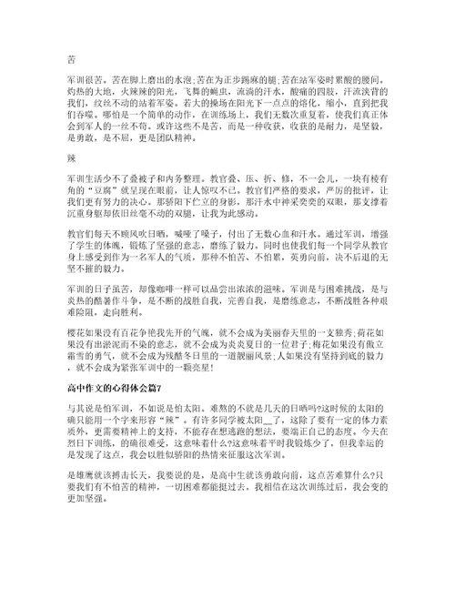 高中作文的心得体会篇