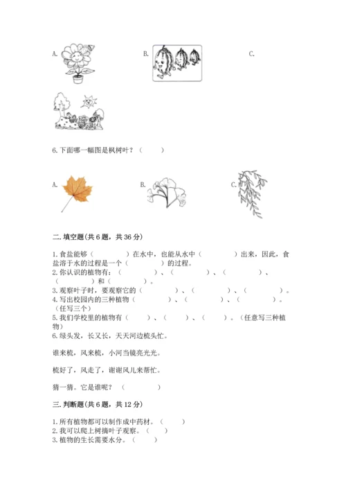 教科版科学一年级上册第一单元《植物》测试卷附完整答案【典优】.docx