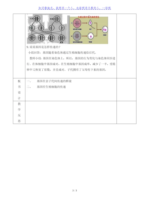 人教版八年级生物下册教学设计：7.2.2-基因在亲子代间的传递.docx