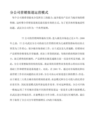 某某分公司营销渠道运营模式案例.docx