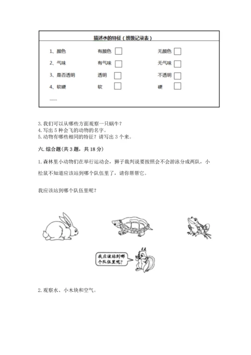 教科版一年级下册科学期末测试卷及参考答案【综合卷】.docx