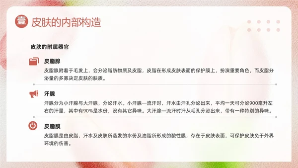 粉色简约美容知识培训大全PPT模板宣传PPT动态PPT