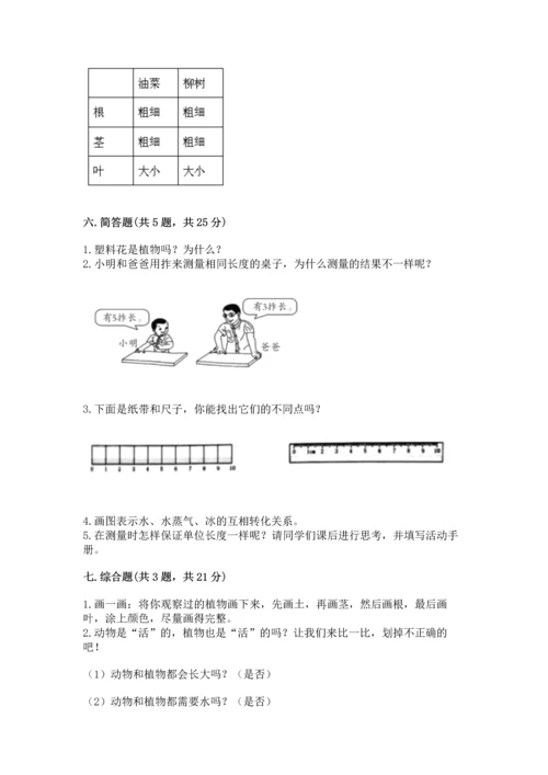 教科版一年级上册科学期末测试卷及完整答案（网校专用）.docx