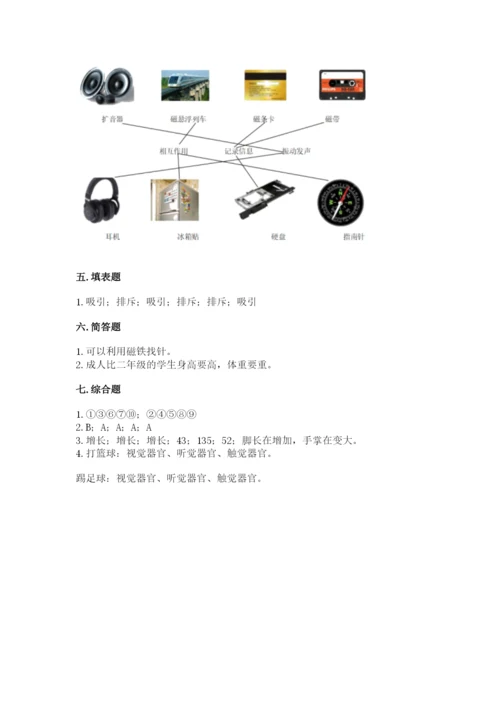 教科版二年级下册科学知识点期末测试卷word.docx