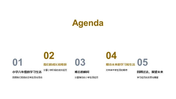 小学往事回味录