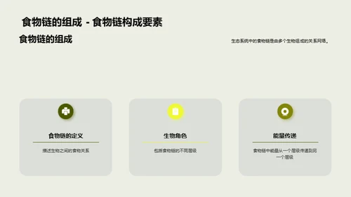 揭秘生态食物链