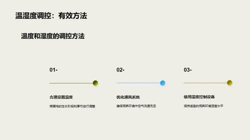 优化饲养环境，助力鸡的生长