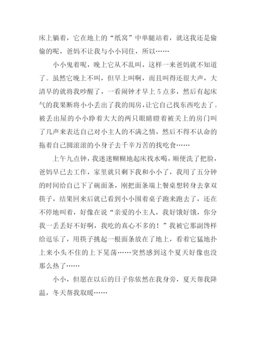 与小小一起走过的日子作文.docx