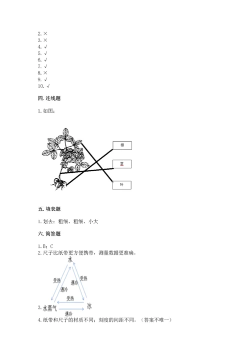 教科版一年级上册科学期末测试卷ab卷.docx