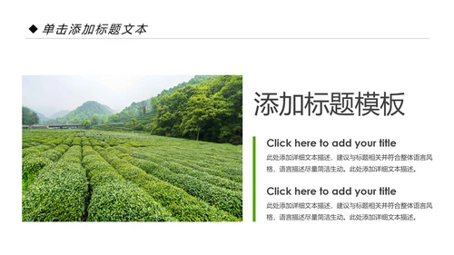 绿色清新茶园茶艺茶道文化动态PPT模板