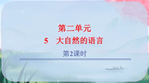5《大自然的语言》课件