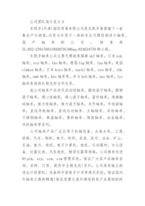 公司团队简介范文3篇.docx