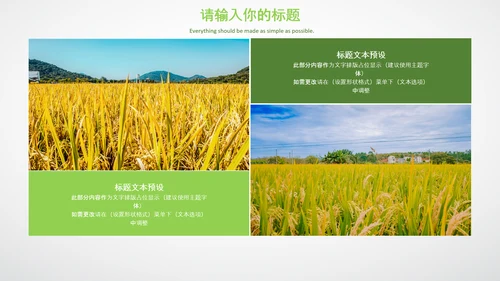 农业生产春耕三农新农村乡村振兴稻田水稻PPT