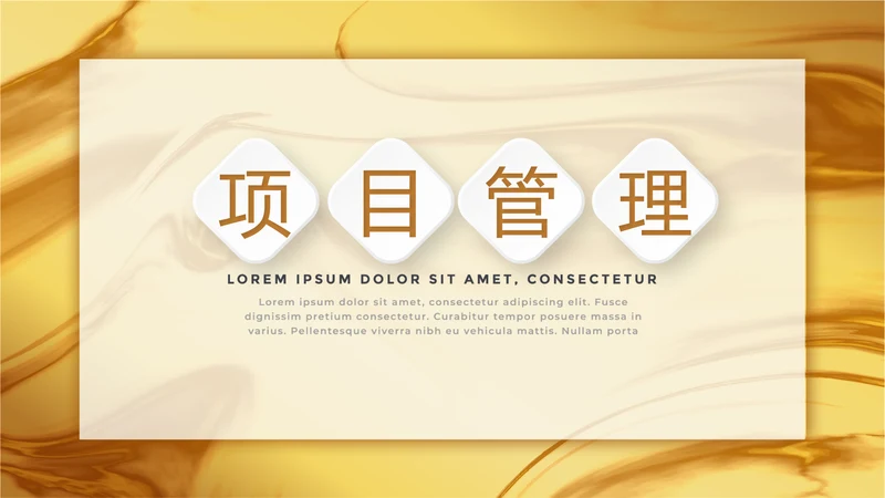 时尚微立体项目管理工作总结商务通用PPT动态模板