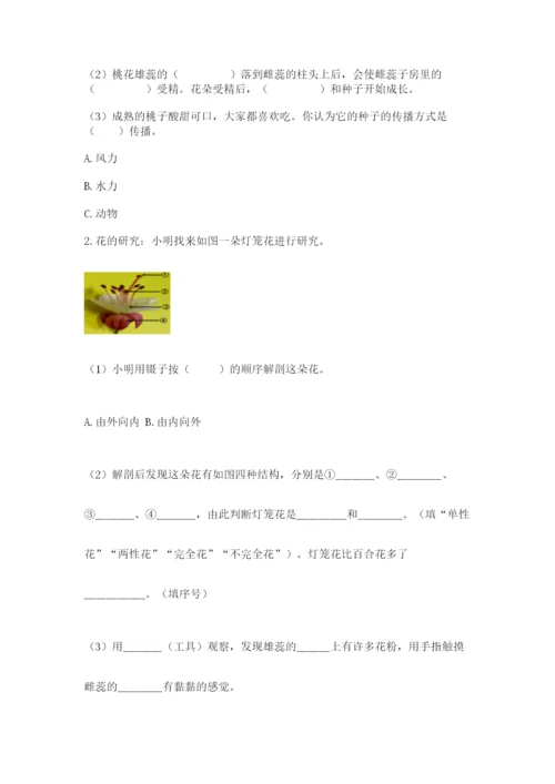 教科版四年级下册科学第一单元《植物的生长变化》测试卷含答案【精练】.docx