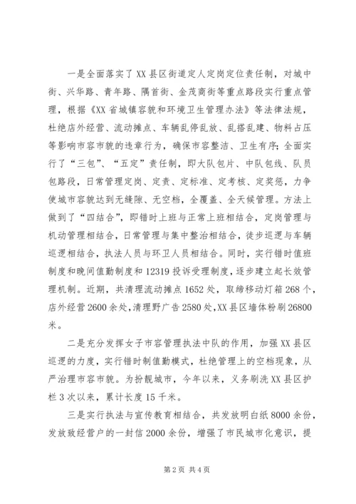 城管执法情况汇报材料.docx