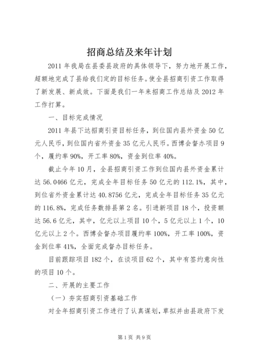 招商总结及来年计划.docx