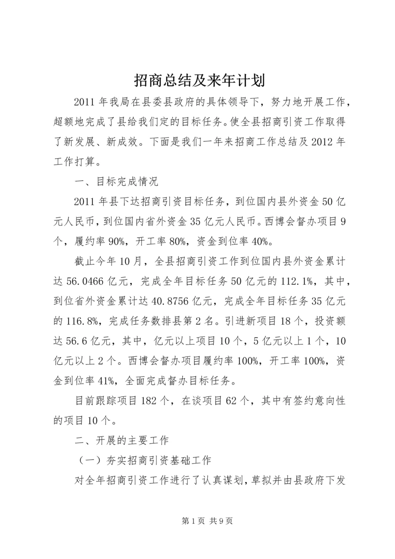 招商总结及来年计划.docx