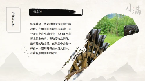传统节气小满一抹绿色通用PPT模板