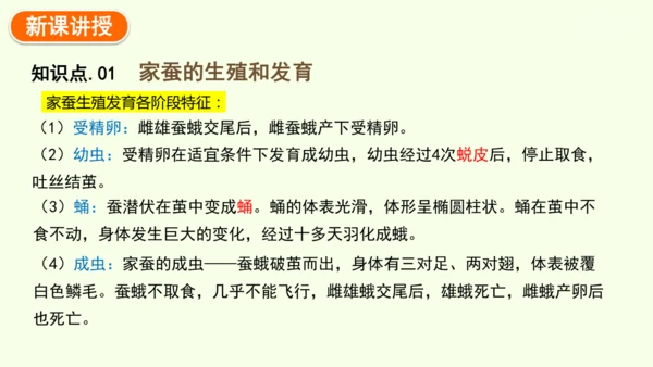 7.1.2昆虫的生殖和发育-八年级生物人教版下学期同步精品课件(共29张PPT)