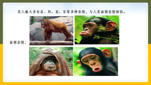 人类的起源和进化生物课通用PPT课件